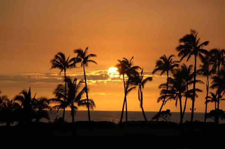 Goa best kept secrets offbeat attractions
